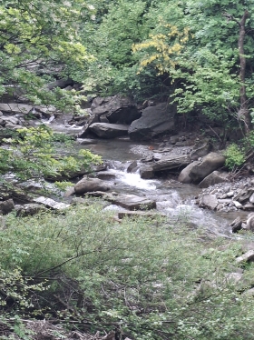 8 dicembre Badia Moscheta e la Valle dell'Inferno - liberamentenatura