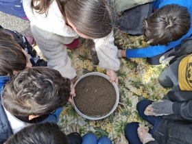 Il suolo un amico prezioso - liberamentenatura