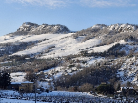Buoni passi e cammina con noi! - liberamentenatura